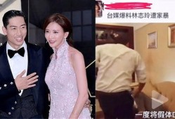 台媒爆料林志玲家暴视频,台媒揭露惊人一幕